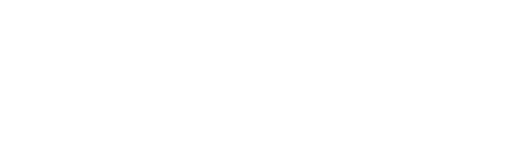 Sindy logo